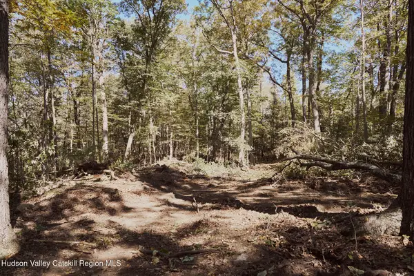 Lot 5 Flatbush Avenue, Kingston, NY 12401