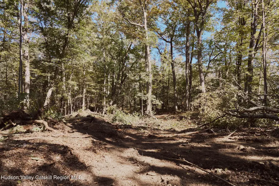 Lot 5 Flatbush Avenue, Kingston, NY 12401 - #3