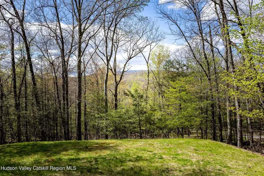 170 Macdaniel Road, Shady, NY 12409 - #2