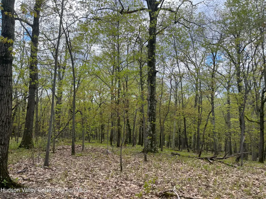 Tbd Cold Spring Road, Milan, NY 12514 - #2