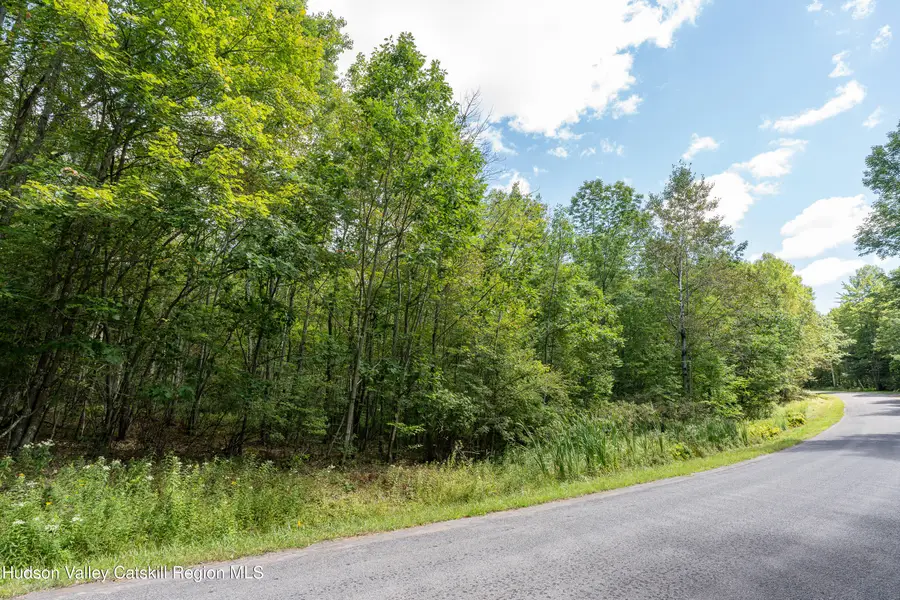 0 Joe Todd Road, Fleischmanns, NY 12430 - #2