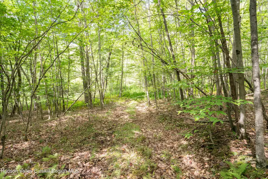 0 Joe Todd Road, Fleischmanns, NY 12430 - #3