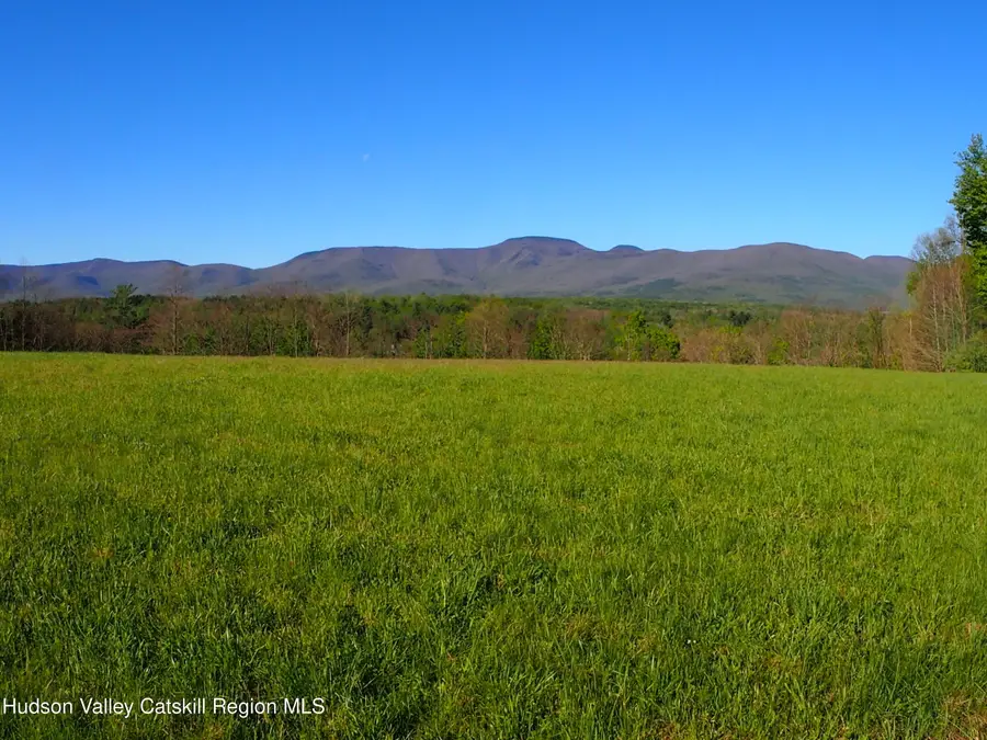 8207 Route 32, Cairo, NY 12413 - #2