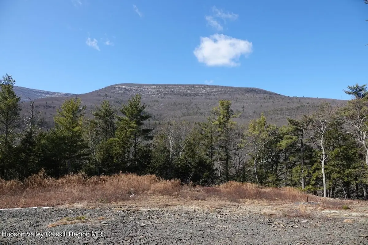Tbd Manorville Road, Saugerties, NY 12477 - #1