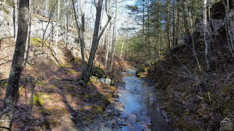 0 Blackhead Mtn Road, Round Top, NY 12473 - #3