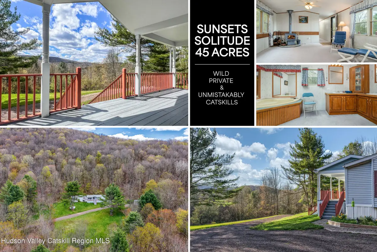 1264 Betty Brook Road, South Kortright, NY 13842 - #1