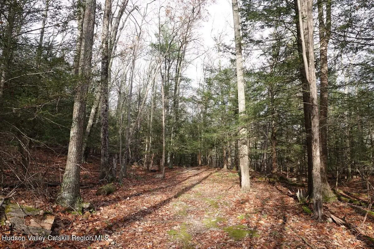738 Manorville Road, Saugerties, NY 12477 - #1