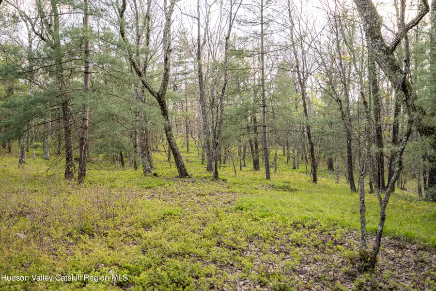 Tbd Ryan Rd., Kerhonkson, NY 12446 - #2