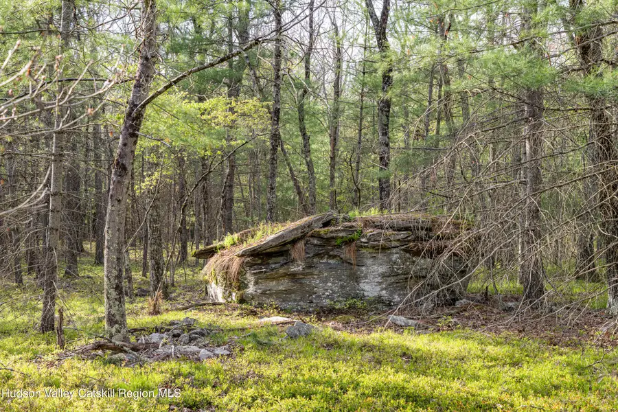 Tbd Ryan Rd., Kerhonkson, NY 12446 - #3