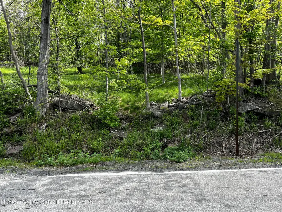 4 County Road 52, Prattsville, NY 12468 - #2