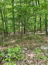 Tbd Hawleys Corners Road, Highland, NY 12528 - #1