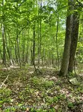Tbd Hawleys Corners Road, Highland, NY 12528 - #2