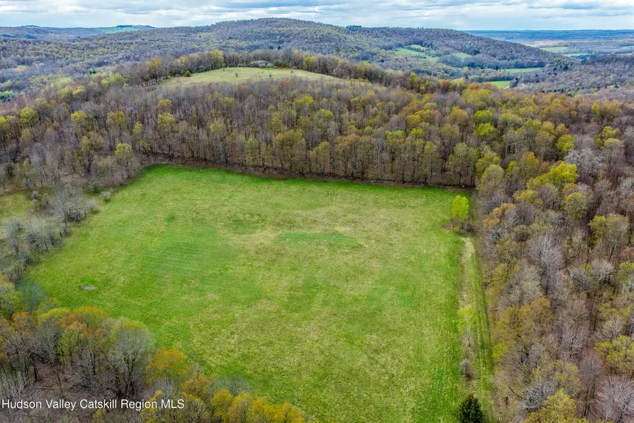 0 Brownell Road, Bloomville, NY 13739 - #3