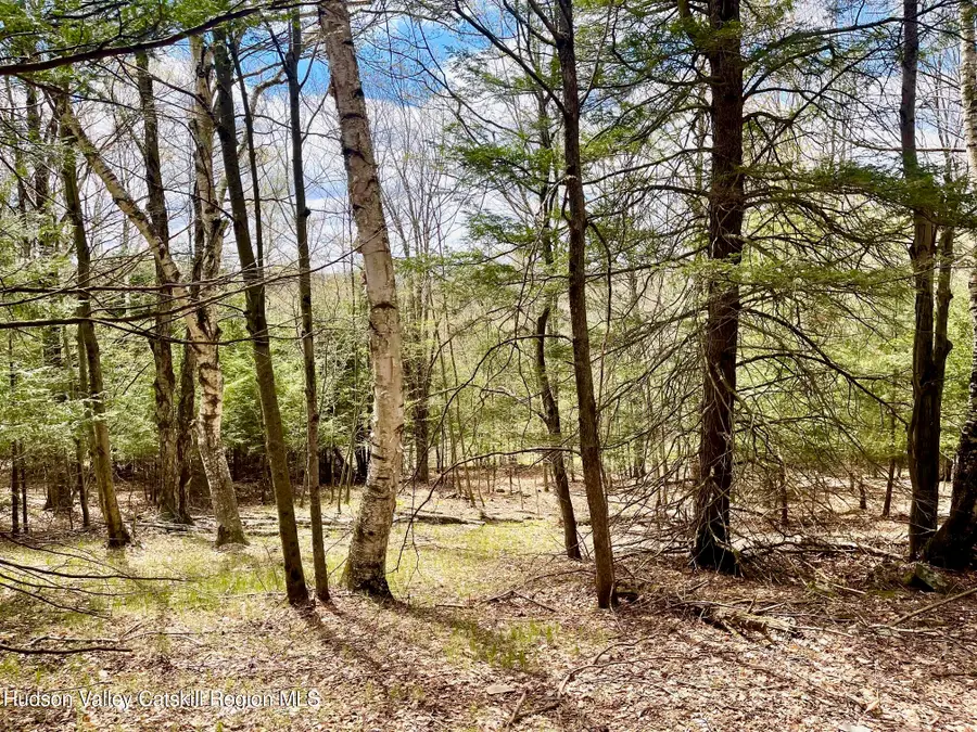 00 County Road 10, Ashland, NY 12407 - #2