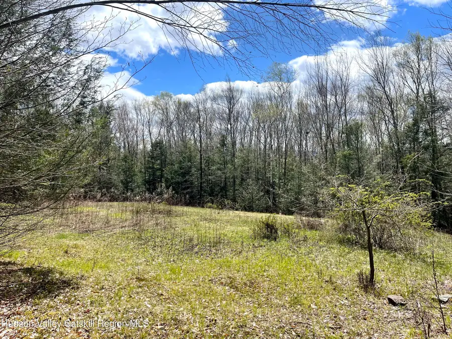 00 County Road 10, Ashland, NY 12407 - #3