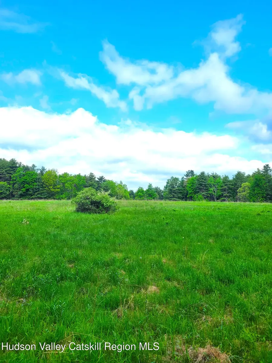 L13 Mackey Road, East Durham, NY 12423 - #2
