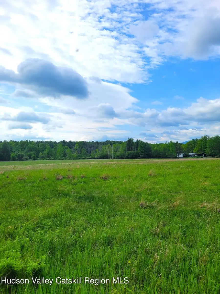 L13 Mackey Road, East Durham, NY 12423 - #3