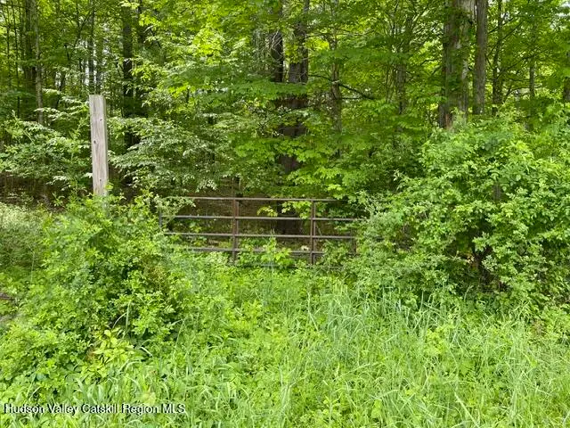 467 Roosevelt Avenue, Cairo, NY 12413 - #2