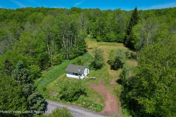 361 Elk Creek Road, Fleischmanns, NY 12430