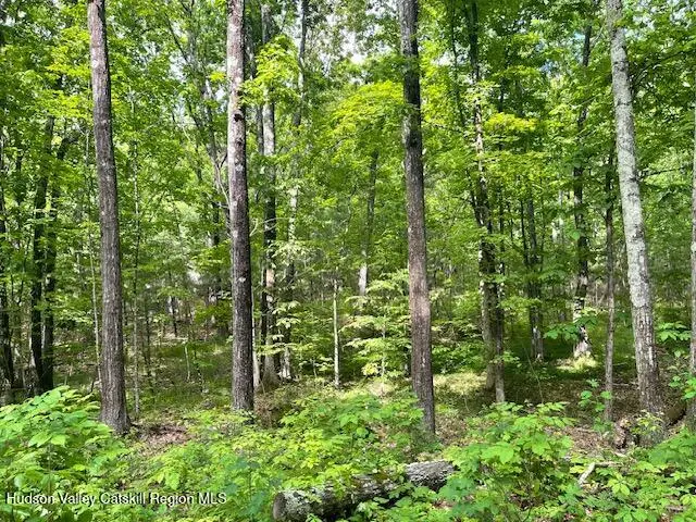 L-6 N Joel M Austin Road N, Cairo, NY 12413 - #1