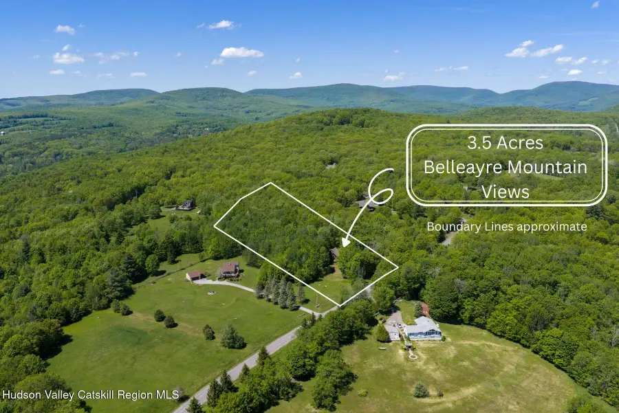 1419 Wood Road, Fleischmanns, NY 12430 - #3