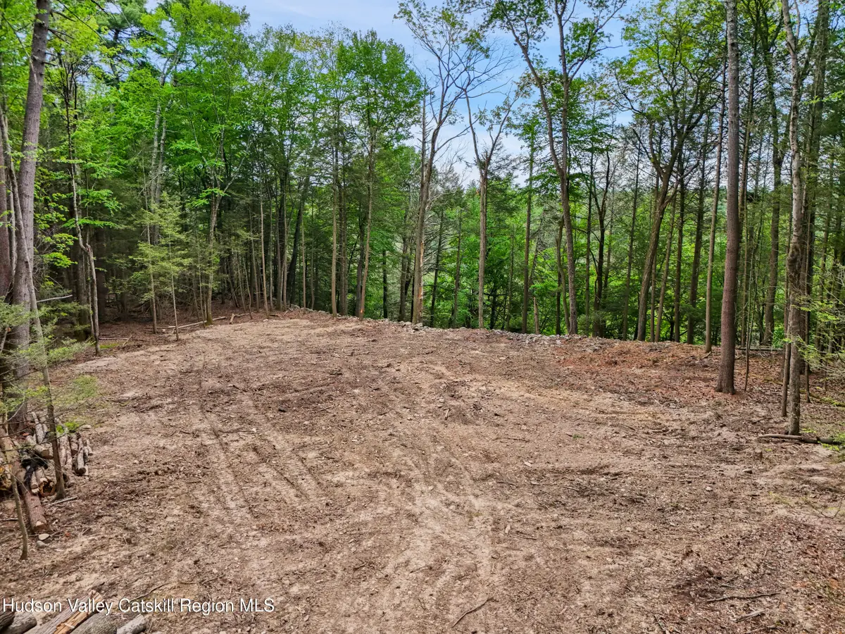Tbd-Lot 1 Beaverkill Road, Kingston, NY 12401 - #1