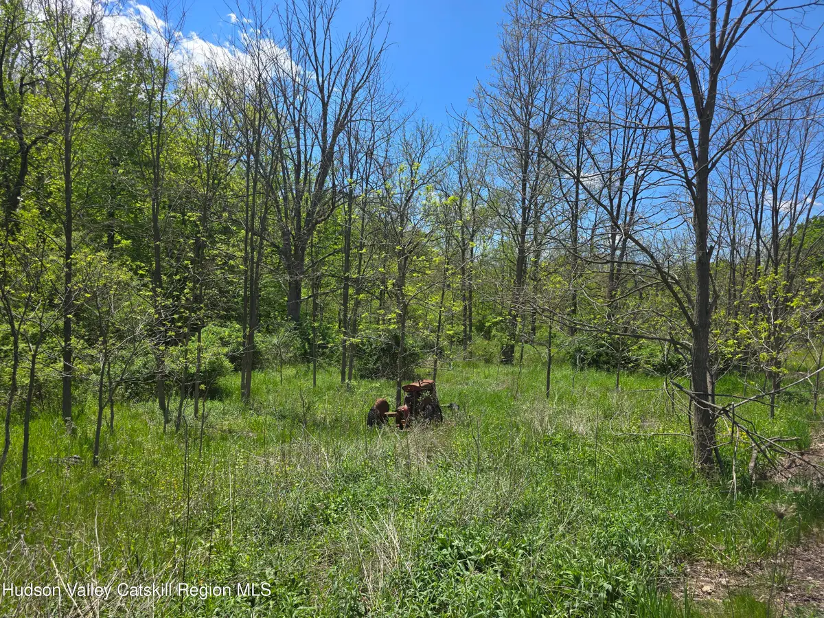 5143 New York 81, Greenville, NY 12083 - #1