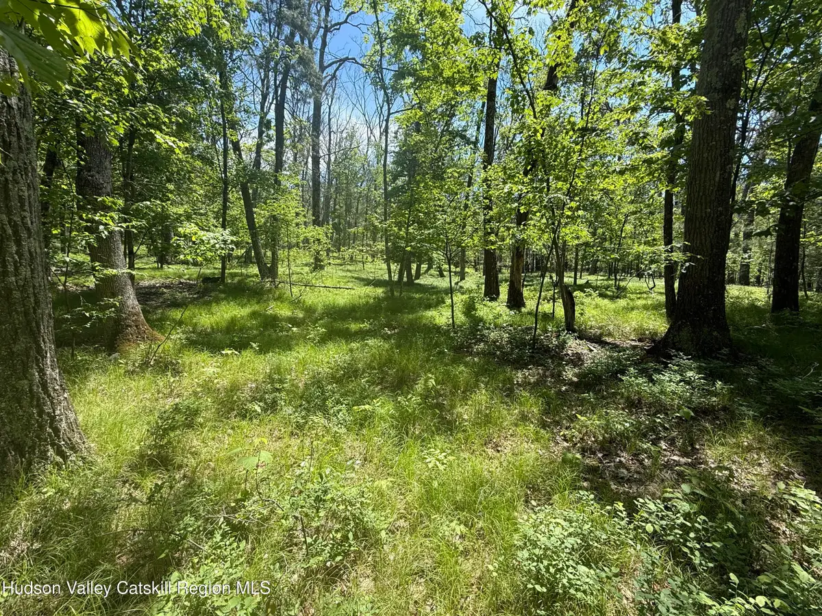 338 Mossy Hill Road, Catskill, NY 12414 - #1