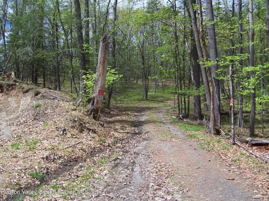 Tbd Heinle Road, Marbletown, NY 12401 - #2