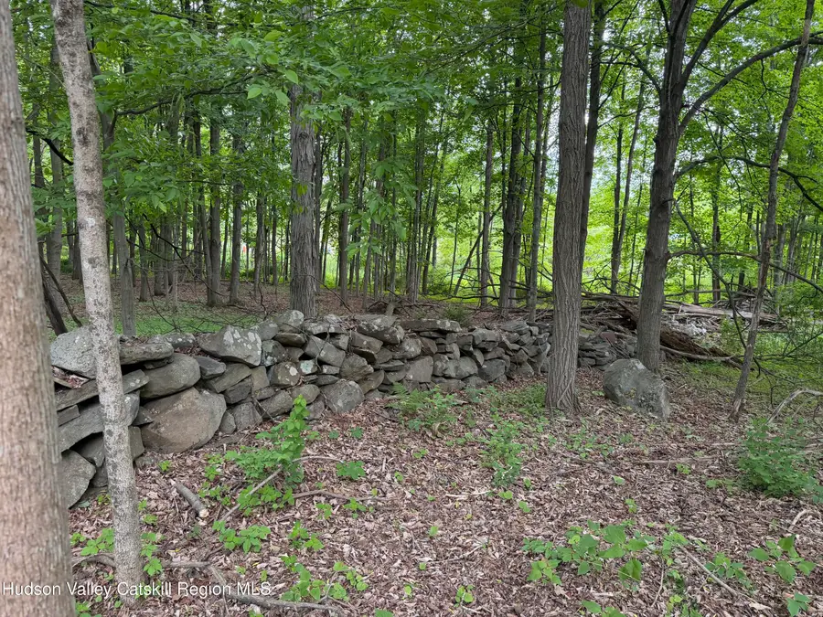 11342 New York 32, Greenville, NY 12083 - #3