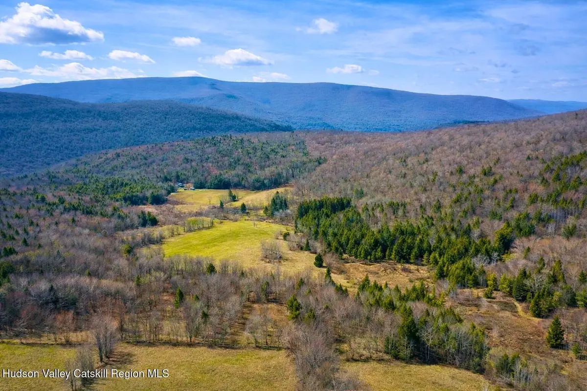 Tbd Hogg Mountain Road, Fleischmanns, NY 12430 - #1