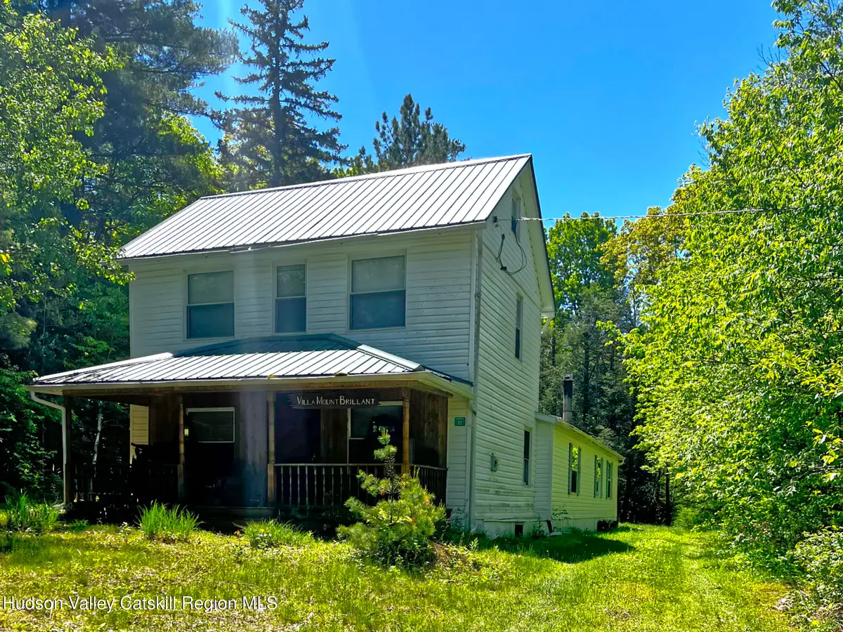 92 Osborne Road, Haines Falls, NY 12436 - #1