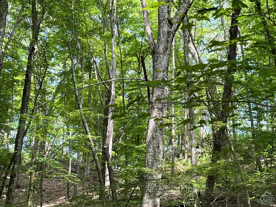 0 Mt Ross Road, Pine Plains, NY 12567 - #3