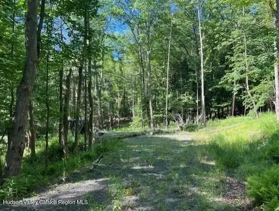 98 Norwegian Road, Prattsville, NY 12468 - #3