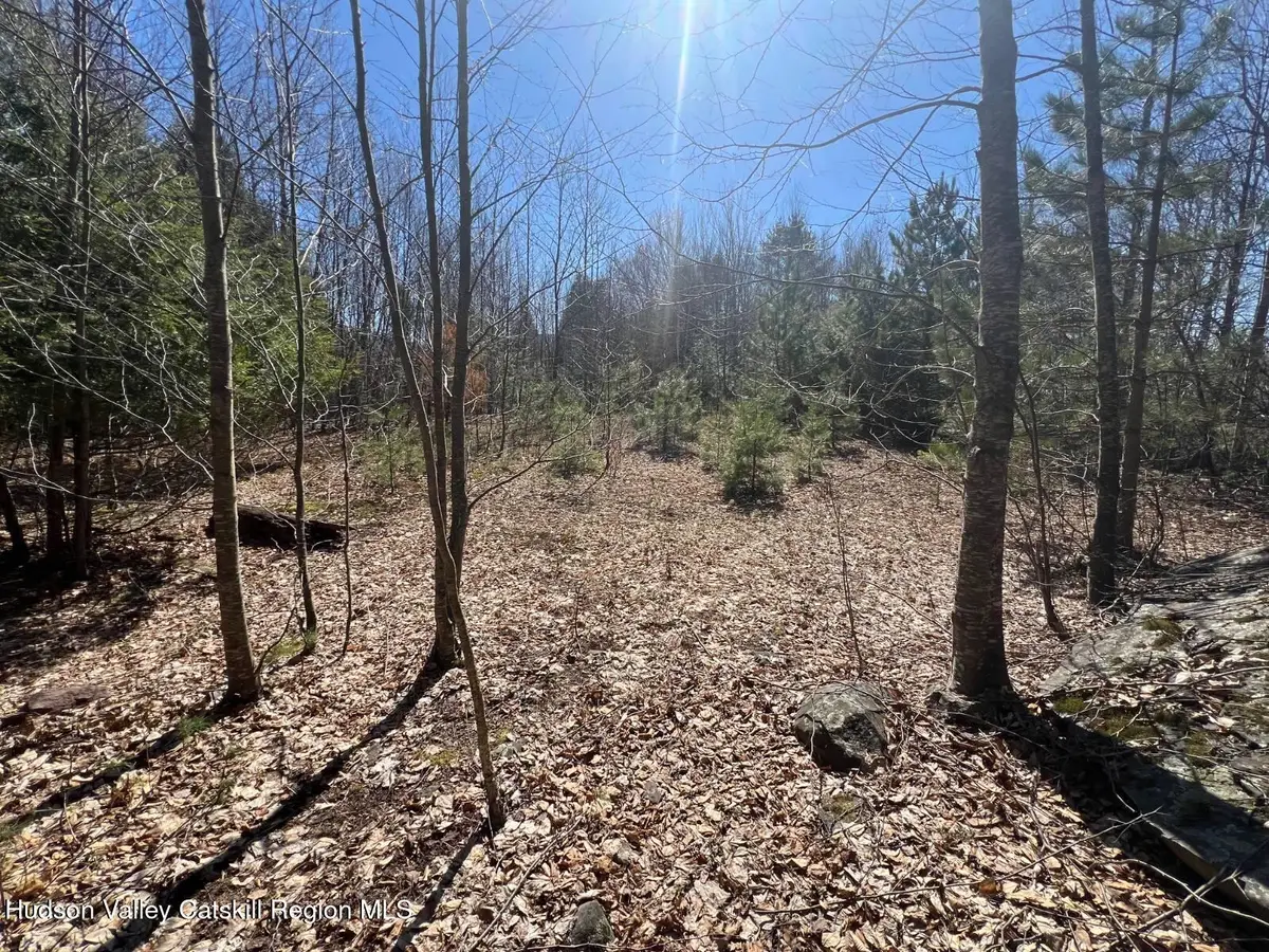 0 Route 23c, Jewett, NY 12444 - #1
