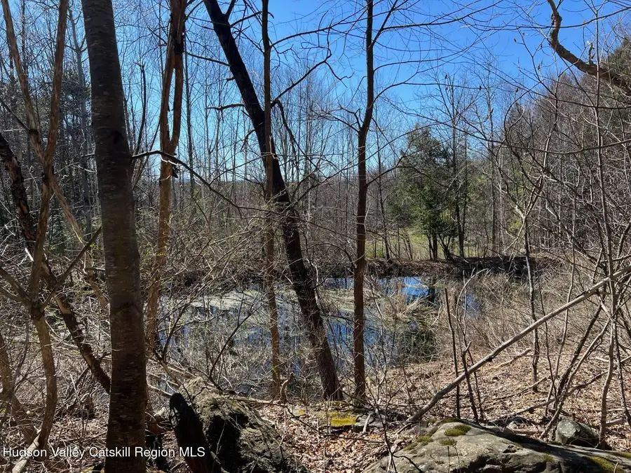 0 Route 23c, Jewett, NY 12444 - #2
