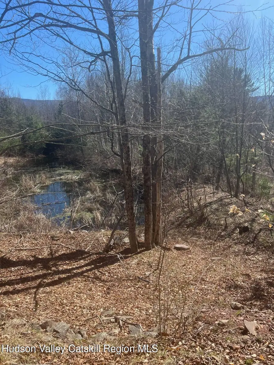 0 Route 23c, Jewett, NY 12444 - #3