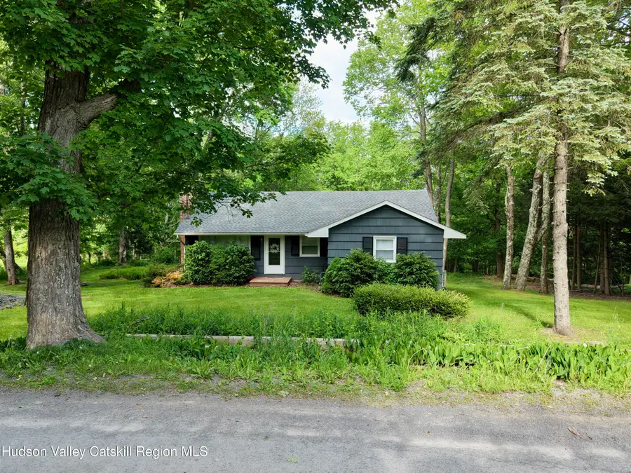 116 Reme Road, Prattsville, NY 12468 - #2