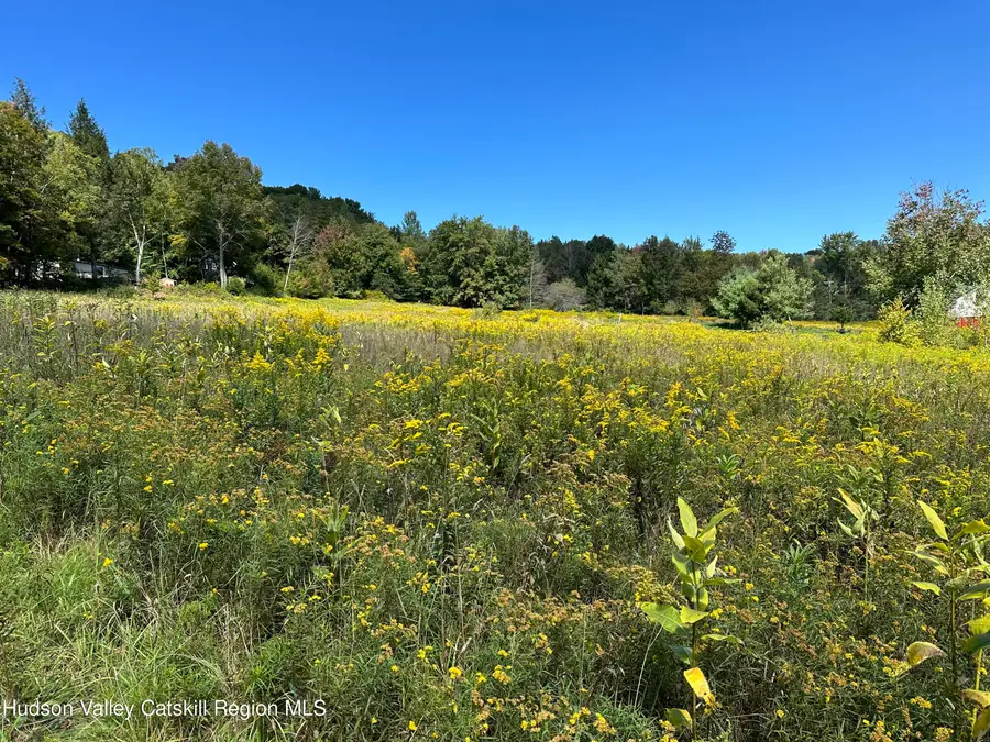 Tbd Todd Mountain Road, Arkville, NY 12406 - #2