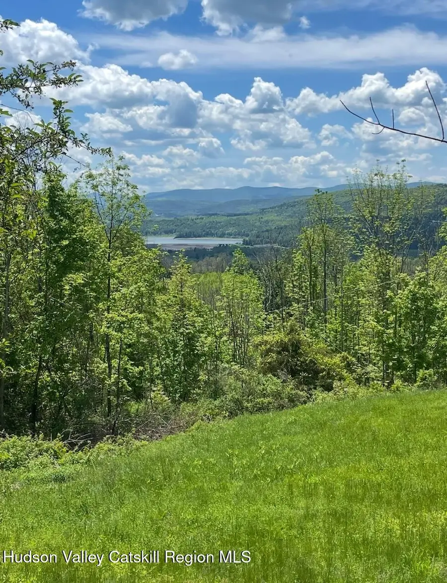 127 Grassy Road, Blenheim, NY 12131 - #2