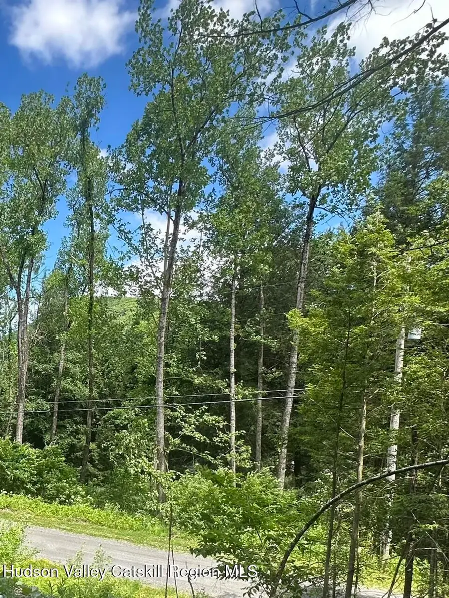 00 Stone Ledge Road, Hillsdale, NY 12529 - #3