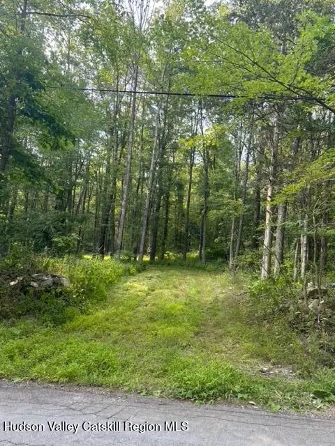 0 Bate Road, Craryville, NY 12521 - #3