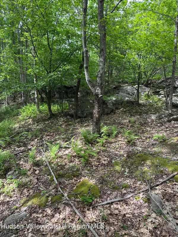 0 Route 40, East Jewett, NY 12424