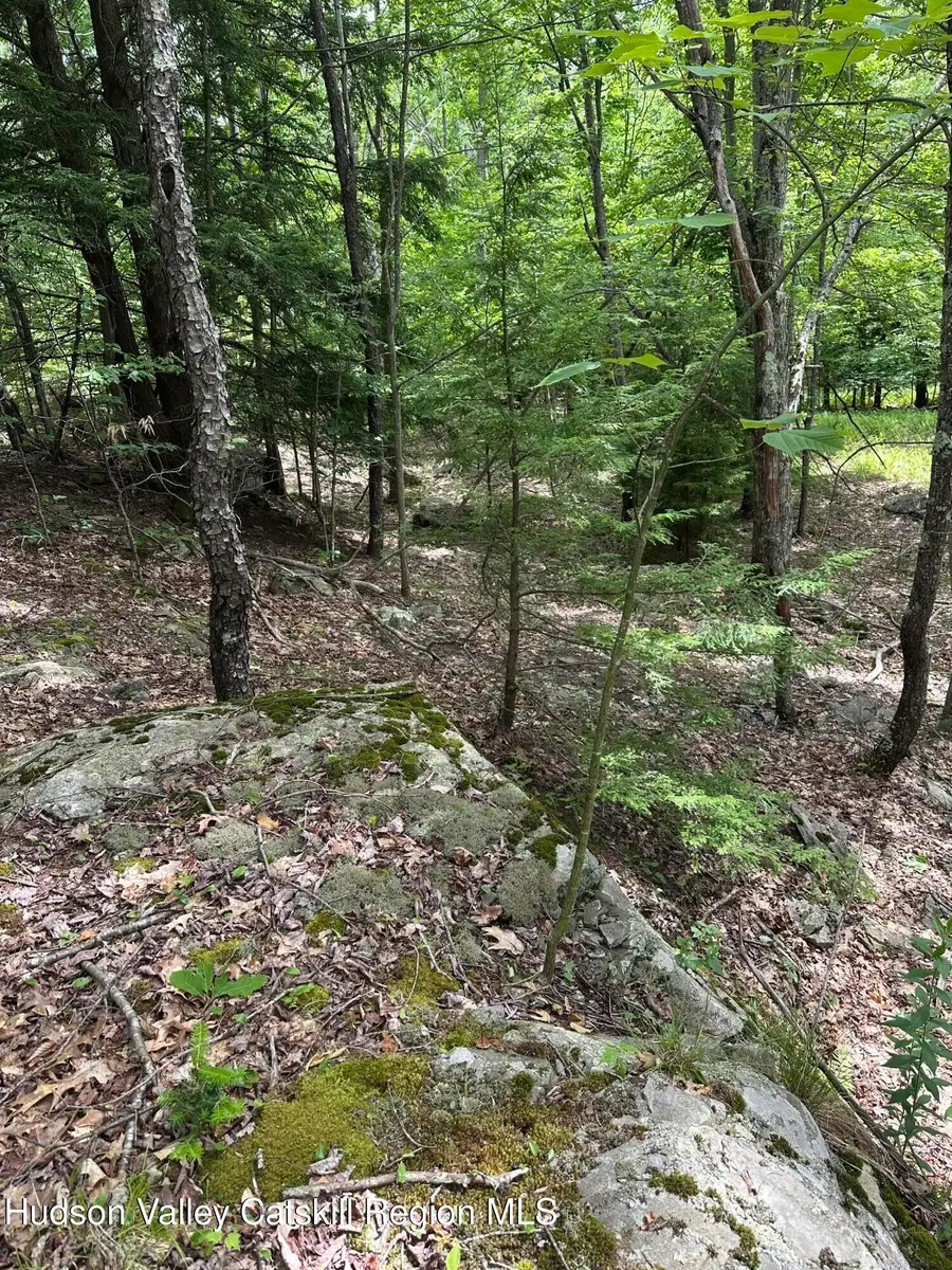 0 Route 40, East Jewett, NY 12424 - #2