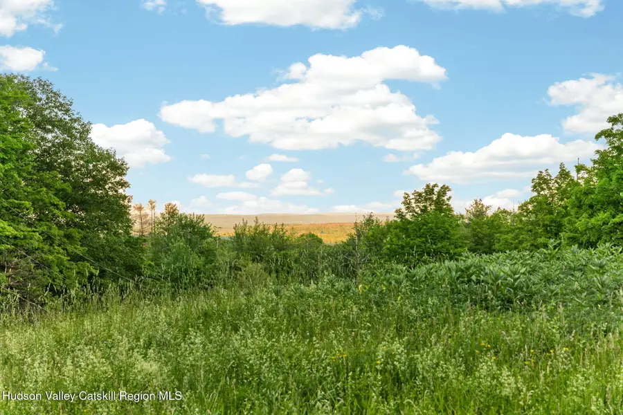 95 West Saugerties-woodstock Rd Road, Woodstock, NY 12498 - #2