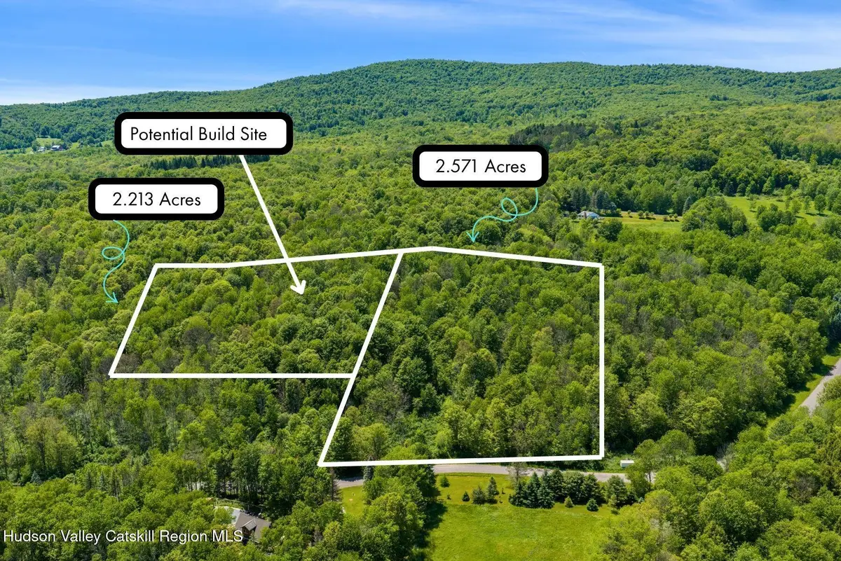 Lots 8, 11 Henry Williams Road, Roxbury, NY 12474 - #1