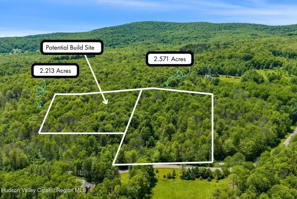 Lots 8, 11 Henry Williams Road, Roxbury, NY 12474