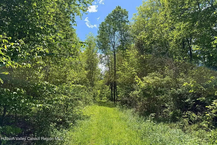 Lots 8, 11 Henry Williams Road, Roxbury, NY 12474 - #2