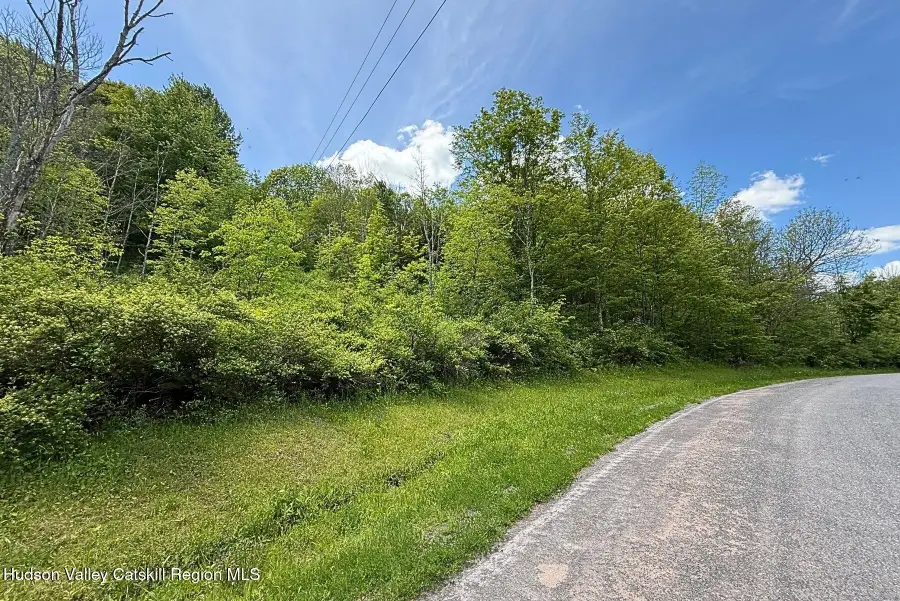 Lots 8, 11 Henry Williams Road, Roxbury, NY 12474 - #3