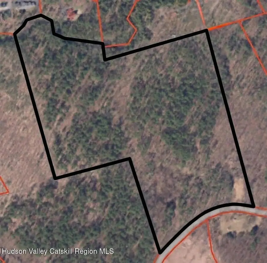 305 Maple Lawn Road, Cairo, NY 12413 - #2